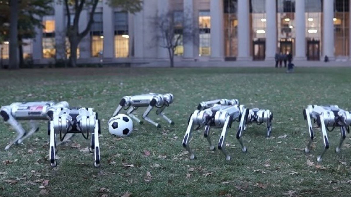 Illustration : "Quand les robots chiens du MIT s’amusent avec un ballon de football (vidéo)"