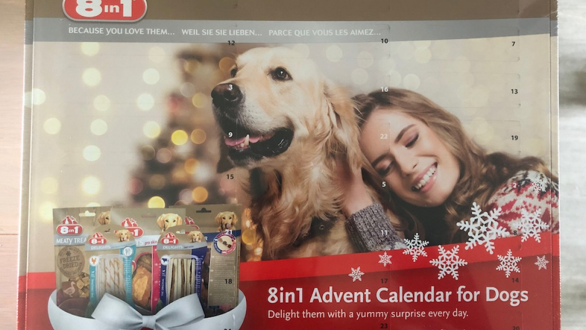Illustration : "Pour Noël, votre chien aussi a le droit à son calendrier de l'Avent !"