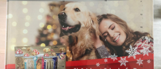 Illustration : "Pour Noël, votre chien aussi a le droit à son calendrier de l'Avent !"