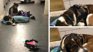 Illustration : Appel à la solidarité pour une SDF et son chien, pour un hébergement