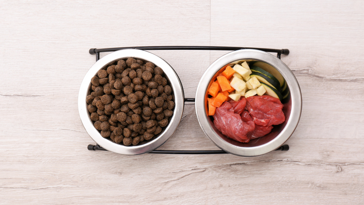 Illustration : "Les aliments naturels pour chien"