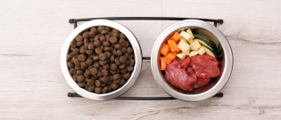 Illustration : "Les aliments naturels pour chien"