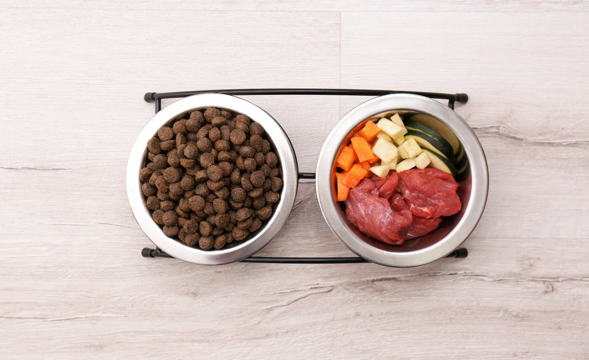 Illustration : "Les aliments naturels pour chien"