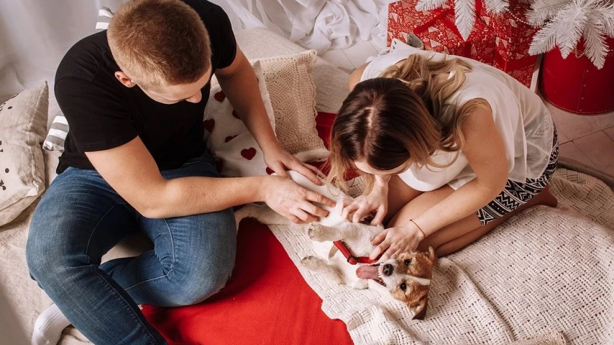 Illustration : "Avoir un chien est bon pour votre couple"