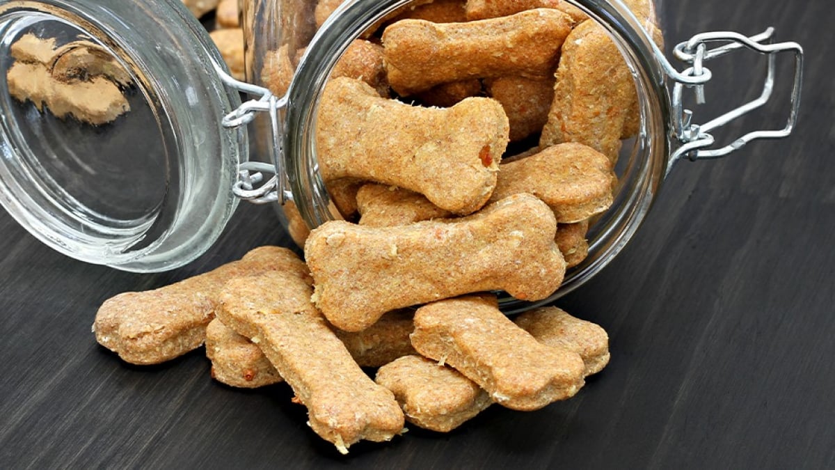 Friandises Et Biscuits Pour Son Chien