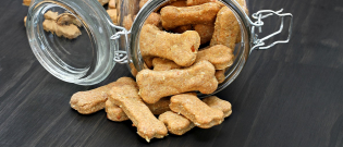 Illustration : "Idées de recettes de friandises et biscuits pour chien"