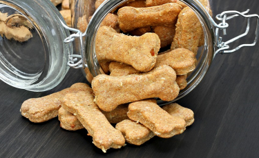 Illustration : "Idées de recettes de friandises et biscuits pour chien"