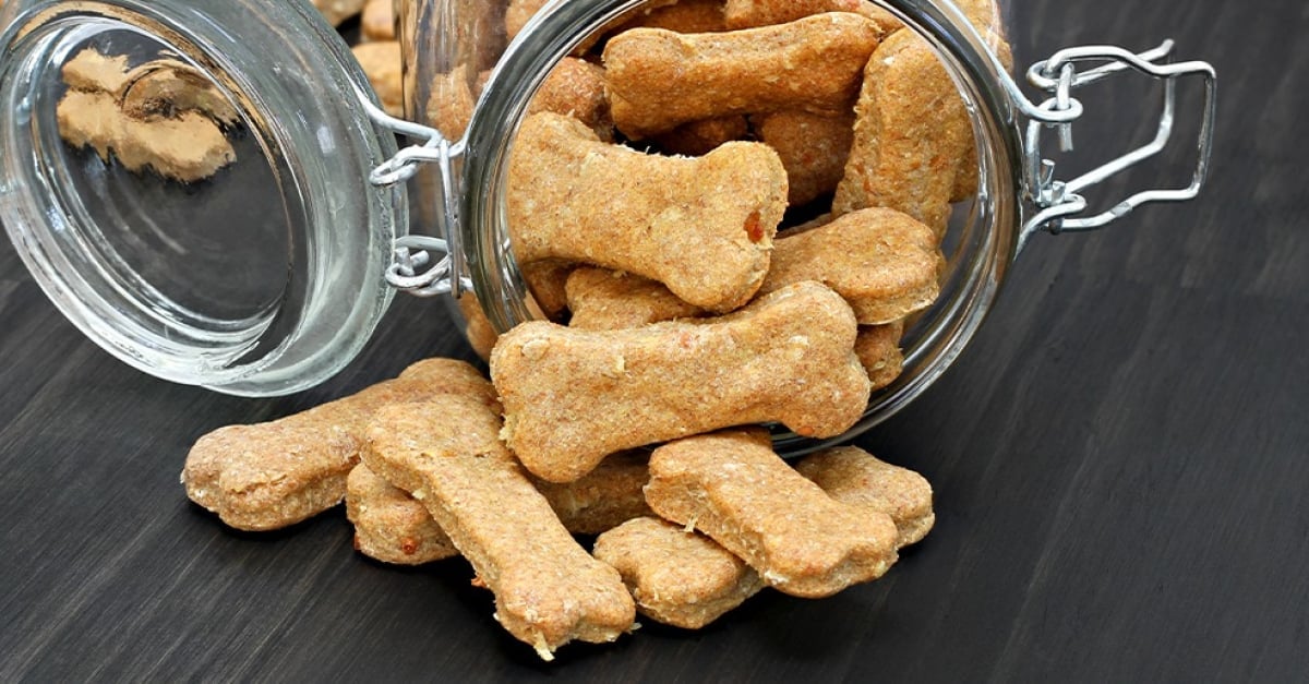Recette Repas Pour Chien Maison Ventana Blog