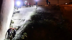 Illustration : (Vidéo) Sauvetage d’un chiot de 8 mois tombé dans des buissons à 8 mètres de profondeur ! 