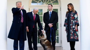 Illustration : Conan, le chien militaire américain, décoré par Donald Trump en personne