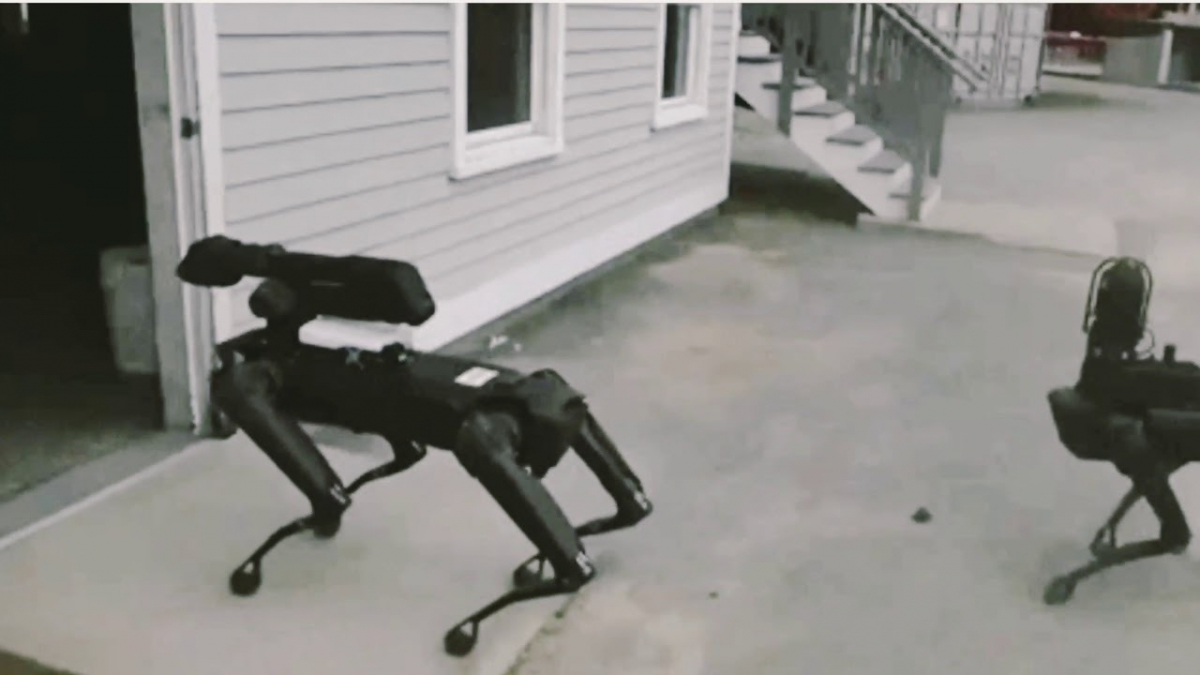 Illustration : "La police américaine utilise de nouveaux robots pour combattre le crime et ce sont des chiens ! "