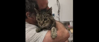 Illustration : "Après s'être perdus de vue, un homme et son chat se retrouvent après des années ! "