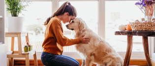 Illustration : "Dans quels cas utiliser la phytothérapie pour son chien ?"