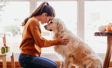 Illustration : "Dans quels cas utiliser la phytothérapie pour son chien ?"