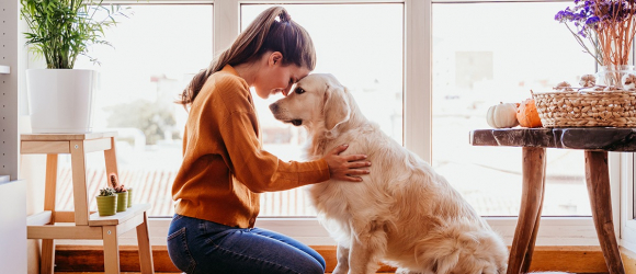 Illustration : "Dans quels cas utiliser la phytothérapie pour son chien ?"
