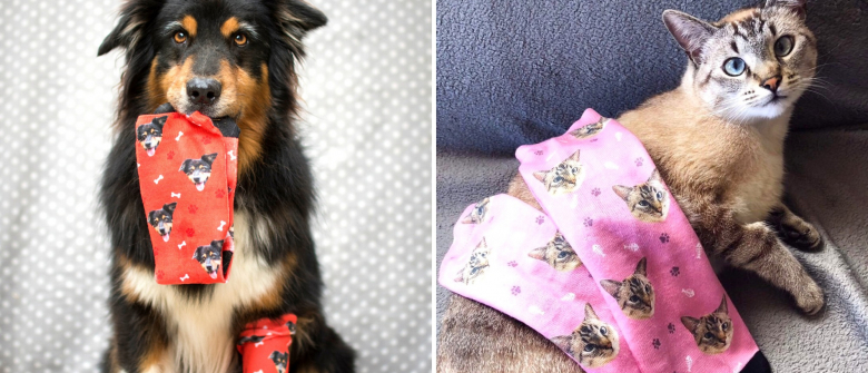 Faites Imprimer La Tete De Votre Chien Ou De Votre Chat Sur Vos Chaussettes Avec Kadonimo Faites Imprimer La Tete De Votre Chien Ou De Votre Chat Sur Vos Chaussettes Avec Kadonimo