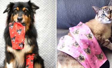 Illustration : "Faites imprimer la tête de votre chien ou de votre chat sur vos chaussettes avec Kadonimo"
