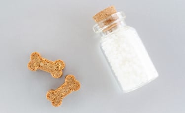 Illustration : "Les bienfaits de l'homéopathie pour soigner son chien au quotidien"