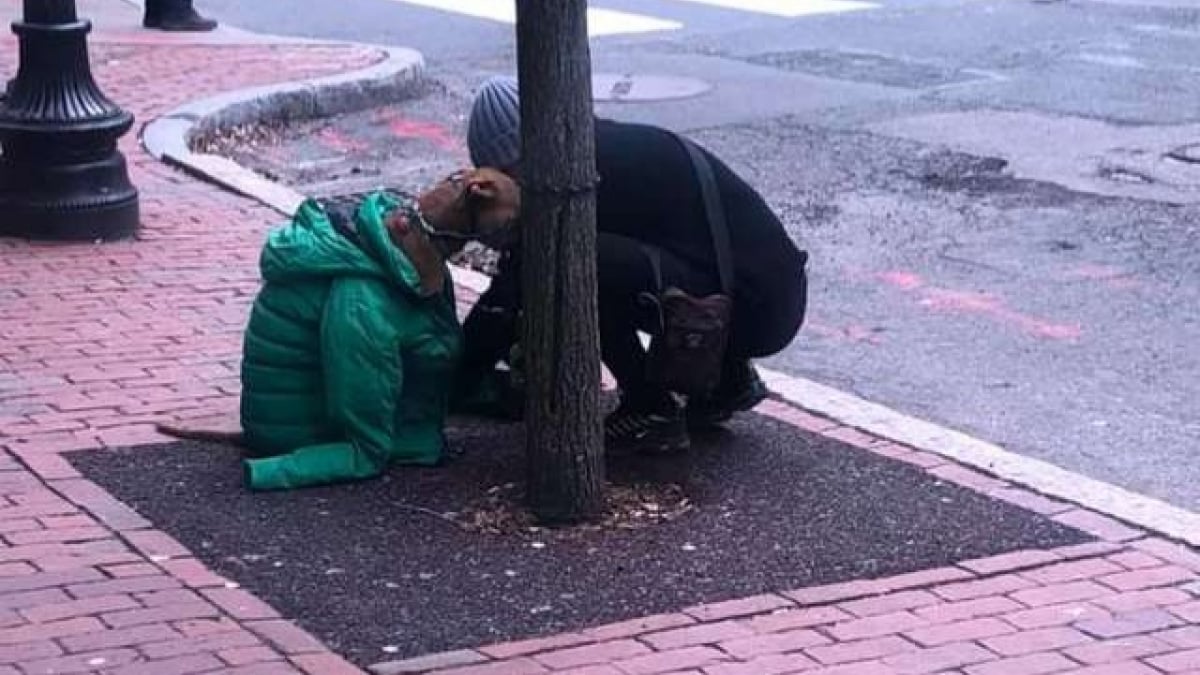 Illustration : "Ne pouvant faire entrer son chien, elle le couvre avec sa veste pour qu’il reste au chaud"