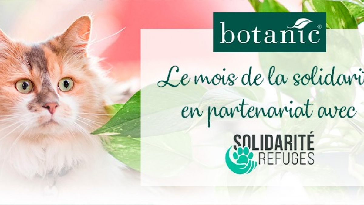Illustration : "Botanic lance le Mois de la Solidarité pour les animaux vivant dans les refuges"
