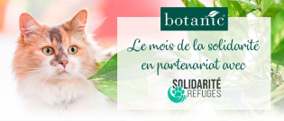Illustration : "Botanic lance le Mois de la Solidarité pour les animaux vivant dans les refuges"