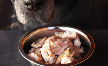 Illustration : "Comment nourrir son chien au Raw Feeding ?"