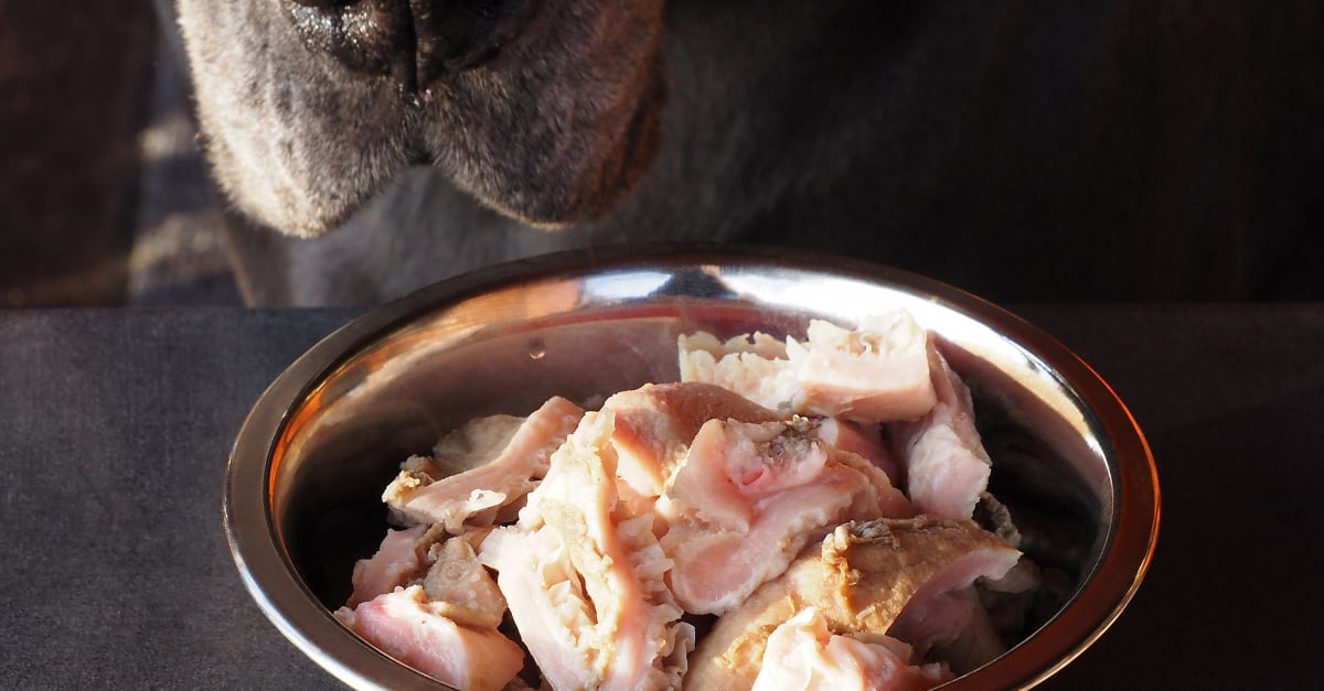 Comment Nourrir Son Chien Au Raw Feeding Recettes Et Quantites Comment Nourrir Son Chien Au Raw Feeding Recettes Et Quantites