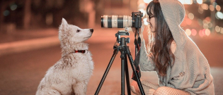 Illustration : "7 conseils pour prendre une bonne photo de votre chien"