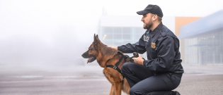 Illustration : "Comment devenir maître chien"