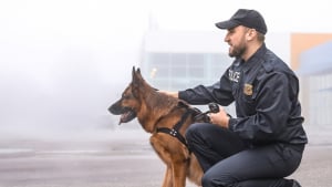 Illustration : "Maître chien"