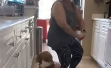 Illustration : "(Vidéo) Elle surprend son chien en train de danser le reggaeton avec sa mère !"