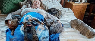 Illustration : "Pour l’aider à se remettre de son opération, ces chats se sont tous regroupés autour de leur maîtresse alitée"