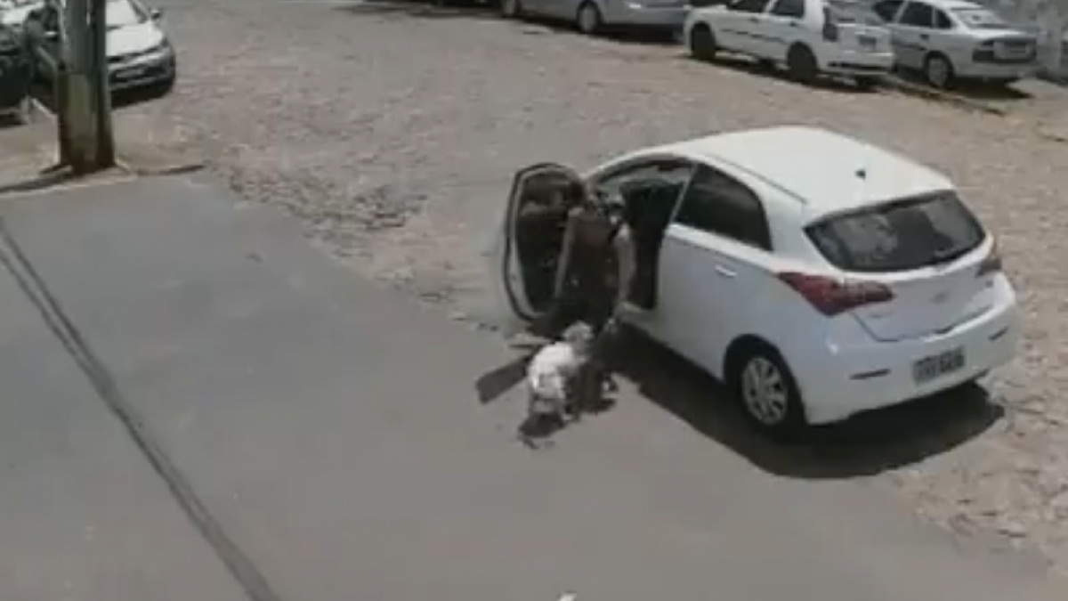 Illustration : "(Vidéo) Elle abandonne lâchement son chien handicapé en pleine rue"