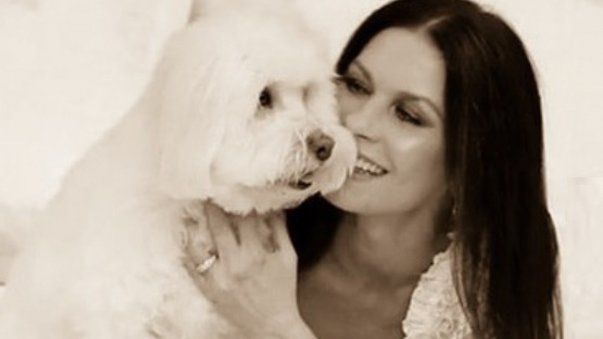 Illustration : "Catherine Zeta-Jones pleure son chien et lui rend un émouvant hommage"