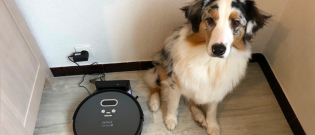 Illustration : "Woopets a testé le robot aspirateur Amibot Animal Premium H2O : dîtes adieu aux poils et bonjour aux sols propres"