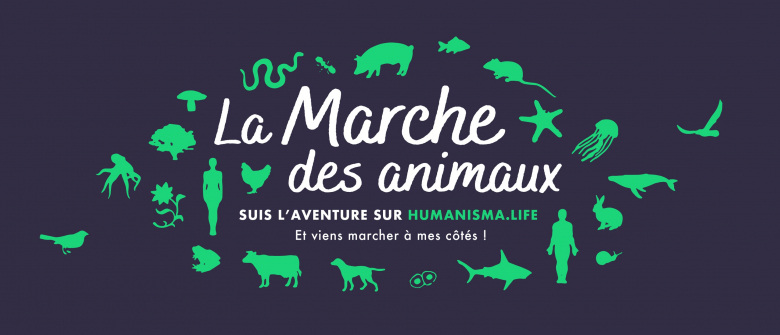Illustration : "Pour faire évoluer le droit animal en France, elle parcourt 2500 km à pied "