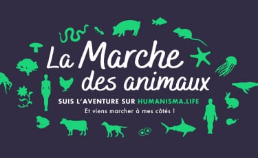 Illustration : "Pour faire évoluer le droit animal en France, elle parcourt 2500 km à pied "
