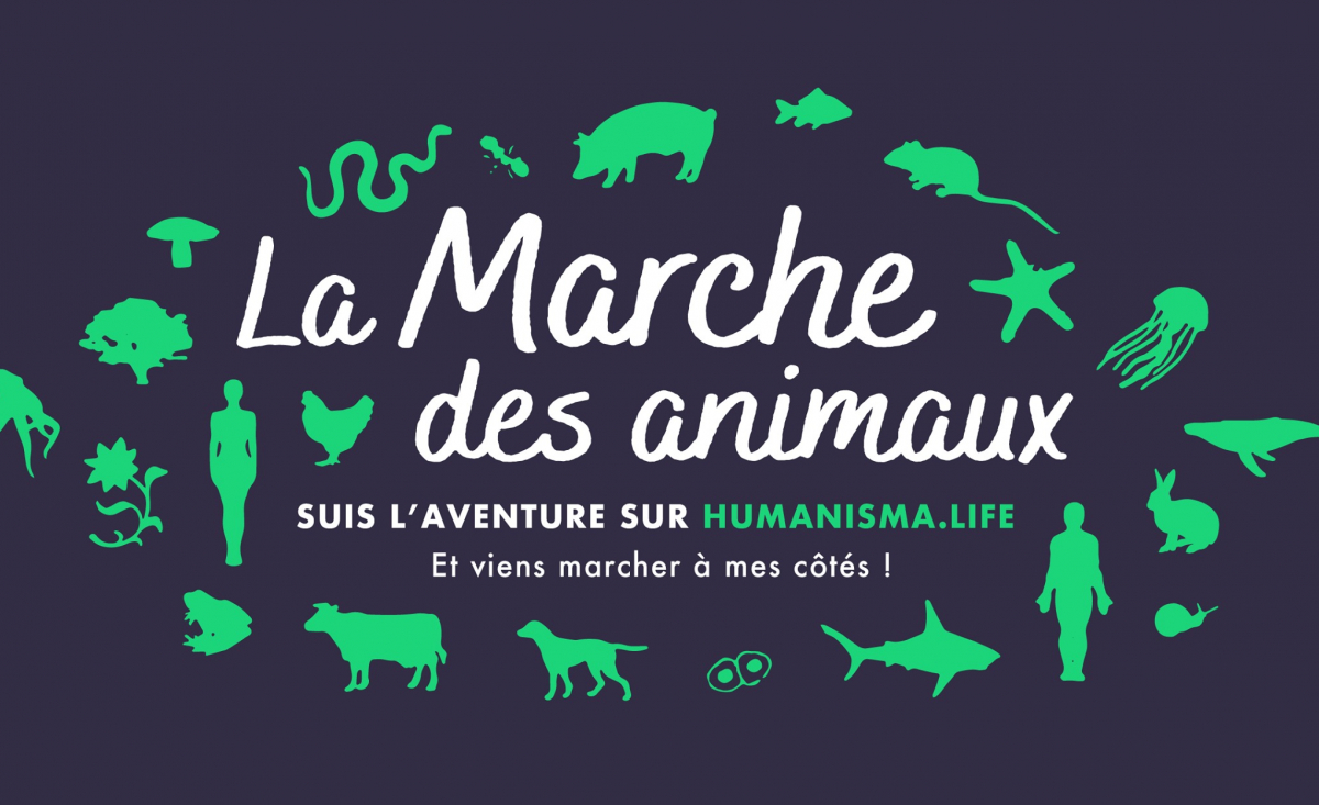 Illustration : "Pour faire évoluer le droit animal en France, elle parcourt 2500 km à pied "