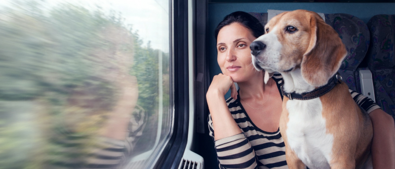 Illustration : "Chats et chiens autorisés dans les transports en commun toulousains ? C’est la proposition du Parti Animaliste, candidat aux municipales"