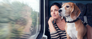Illustration : "Chats et chiens autorisés dans les transports en commun toulousains ? C’est la proposition du Parti Animaliste, candidat aux municipales"