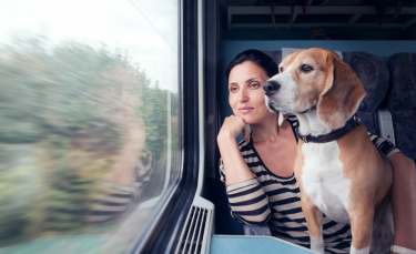 Illustration : "Chats et chiens autorisés dans les transports en commun toulousains ? C’est la proposition du Parti Animaliste, candidat aux municipales"