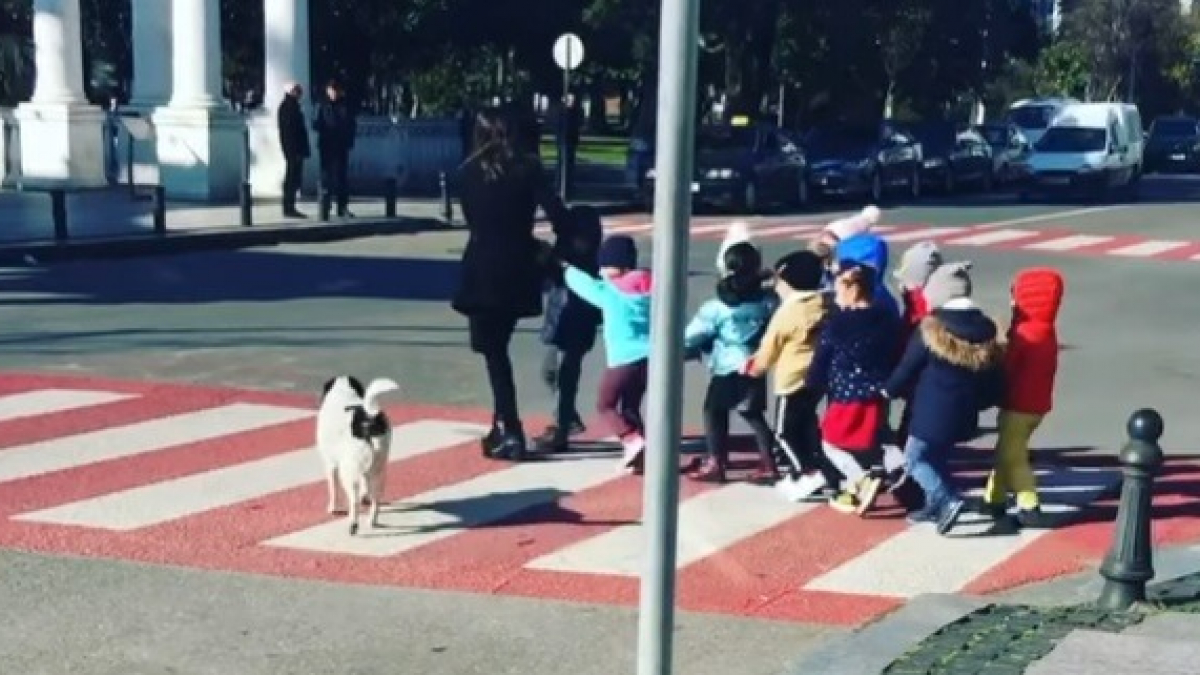 Illustration : "Un chien arrête la circulation pour permettre à des enfants de traverser la rue"