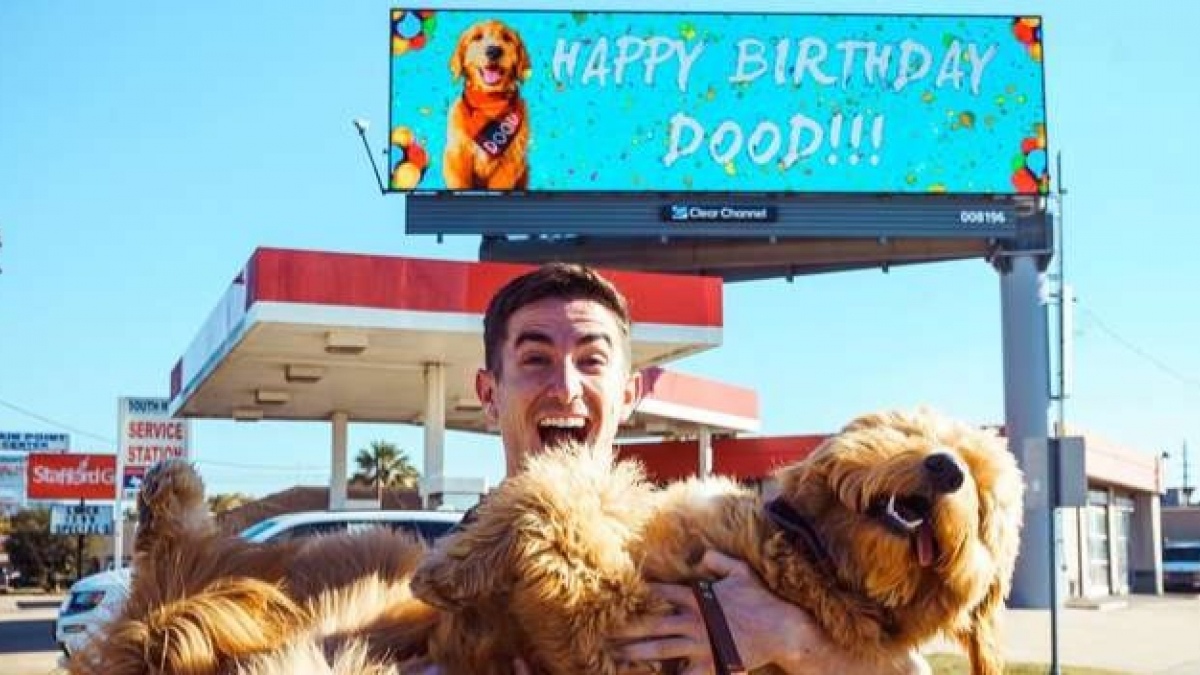 Illustration : "Pour fêter l'anniversaire de son chien comme il se doit, un homme loue un panneau publicitaire géant ! "