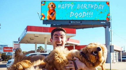 Illustration : Pour fêter l'anniversaire de son chien comme il se doit, un homme loue un panneau publicitaire géant ! 