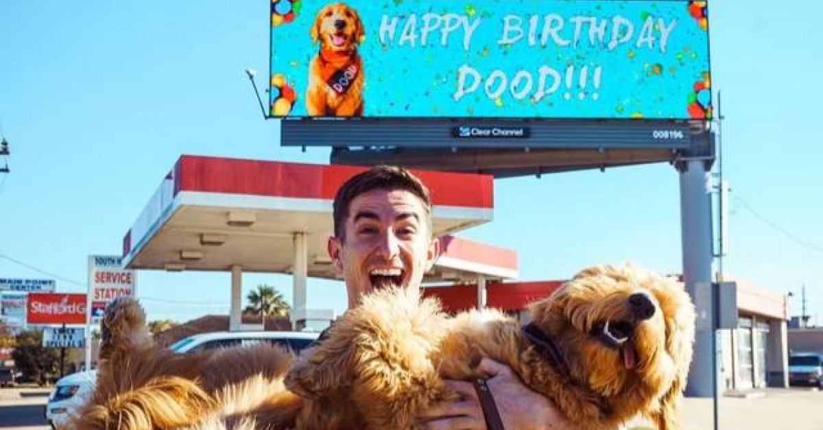 Pour Feter L Anniversaire De Son Chien Comme Il Se Doit Un Homme Loue Un Panneau Publicitaire Geant Pour Feter L Anniversaire De Son Chien Comme Il Se Doit Un Homme Loue Un Panneau Publicitaire Geant