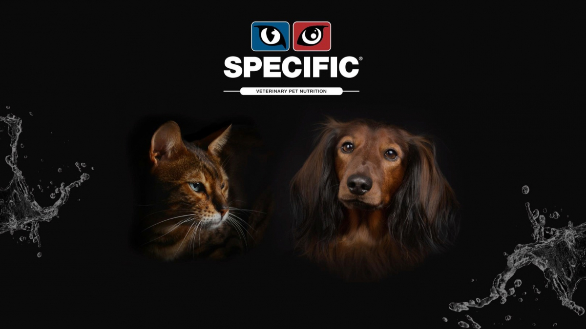 Illustration : "Specific, spécialiste de l’alimentation vétérinaire pour chiens et chats, présente sa nouvelle gamme"