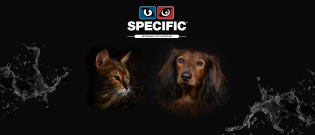 Illustration : "Specific, spécialiste de l’alimentation vétérinaire pour chiens et chats, présente sa nouvelle gamme"