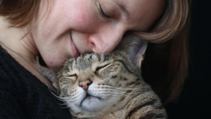 Illustration : Les chats considèreraient leur maître comme un parent d'après une étude 