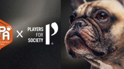 Illustration : Des footballeurs montent un collectif pour encourager l’adoption d’animaux dans les refuges