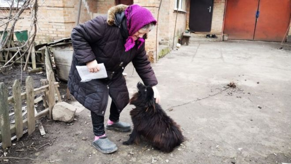 Illustration : "A une retraitée qui se plaint du coût de la vie, un député ukrainien lui répond de vendre son chien"